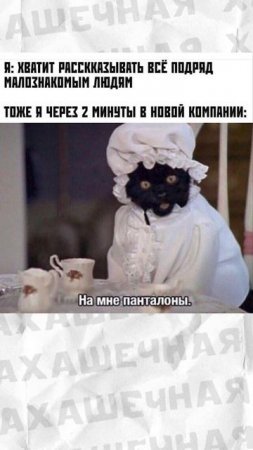 Мемы и мемы #приколы #мемы #мем #лютыеприколы #юмор #хахашечная