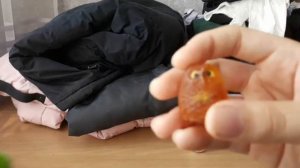 ДЕНЬ МЕДВЕДЯ ТИМОНА