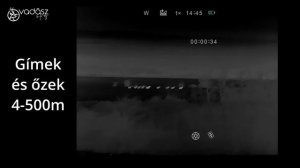 Infiray MATE MAL25 mintavideó