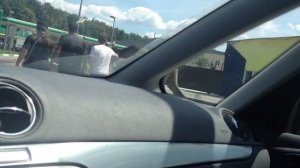 Лось на заправке