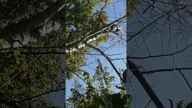 29 июня 2022 г. смотреть онлайн