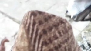 Сериал:Наследник Демона лошади шляйх 1 серия 1 сезон