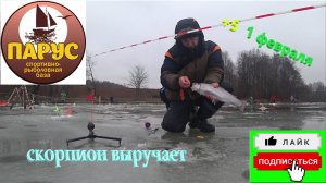 ПАРУС-ЮГ БОЙКАЯ ФОРЕЛЬ В ФЕВРАЛЕ  +5