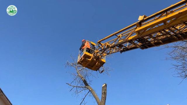 12.04.2023. Дневная смена СЧиП. смотреть онлайн