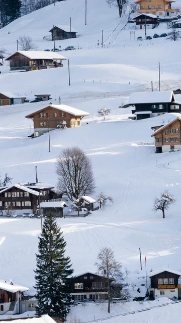 Suisse #shorts #francophonie смотреть онлайн