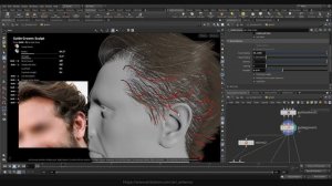 Creating groom for CG character in Houdini ⧸ PART 2 ⧸ Timelapse ⧸ 3D