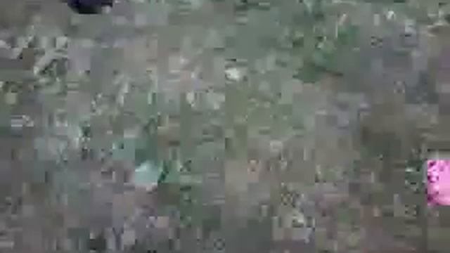 Ловим кролика смотреть онлайн