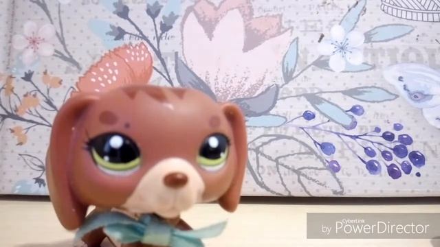 Днюха уже СКОРОООООО!!o(^▽^)o(ага конечно, через 35 дней(ಠ_ಠ)) смотреть онлайн