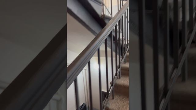 IMG 8359 Гагарина 16 смотреть онлайн