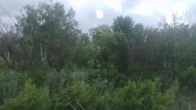 Стадион в Саранске 01.07.2022