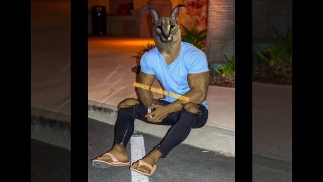 какой ты шлëпа по имени часть 3 смотреть онлайн