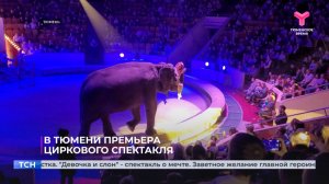 «Девочка и слон»