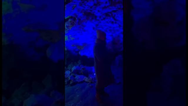 КУНГУРСКАЯ ЛЕДЯНАЯ ПЕЩЕРА. ОБЗОР. ЭКСКУРСИЯ. Путешествие по Пермскому  краю 2024г. смотреть онлайн