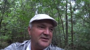 Фантастическая Грибная Охота. Нашли Лес, Полный Белых Грибов.