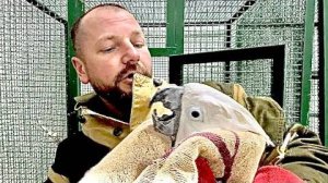 КОНЕЦ КАРАНТИНА! Два Кеши и Жорик в ШОКЕ, папа тоже, КРИКИ, ШУМ,ГАМ, большой Кеша приехал домой!!!