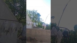 бедона дар шахри конибодом 2022 г.