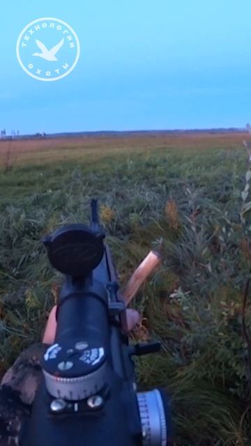 Снайпер на охоте на косулю #охота #оружие #hunter #hunting #shotgun #патроны #gun #hunt #guns смотреть онлайн