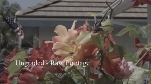 Blackmagic Cinema Camera 2.5K