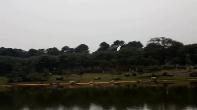 DJI Ace One Feature-GPS Atti. Control Mode смотреть онлайн