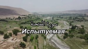 Сура 60. аль-Мумтахана/ Испытуемая, со смысловым переводом. Чтец Имад аль-Мансори