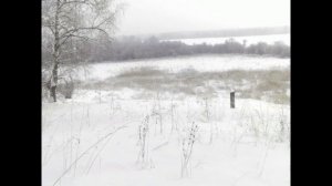 Забытая деревня Сибири...