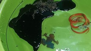 Чистка в потоке от колдунов и их порч.