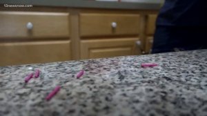 Bentley & Friends: Therapy for aging dogs