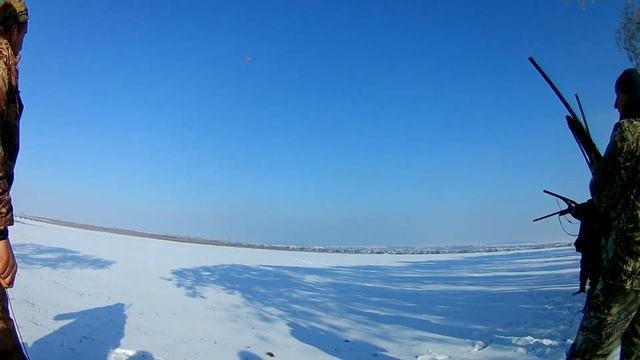 Метательная машинка для тарелочек смотреть онлайн