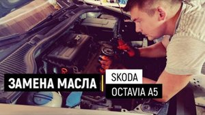 Замена масла Skoda Octavia A5