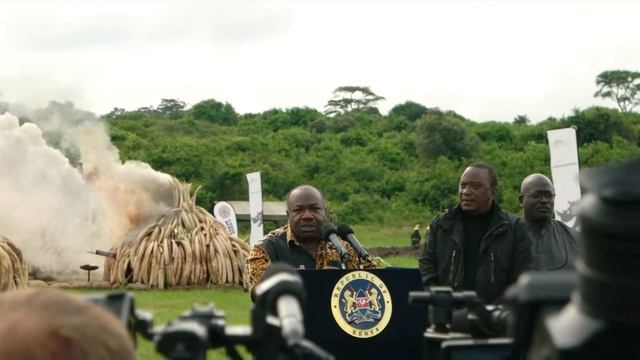 Ivory Burn смотреть онлайн