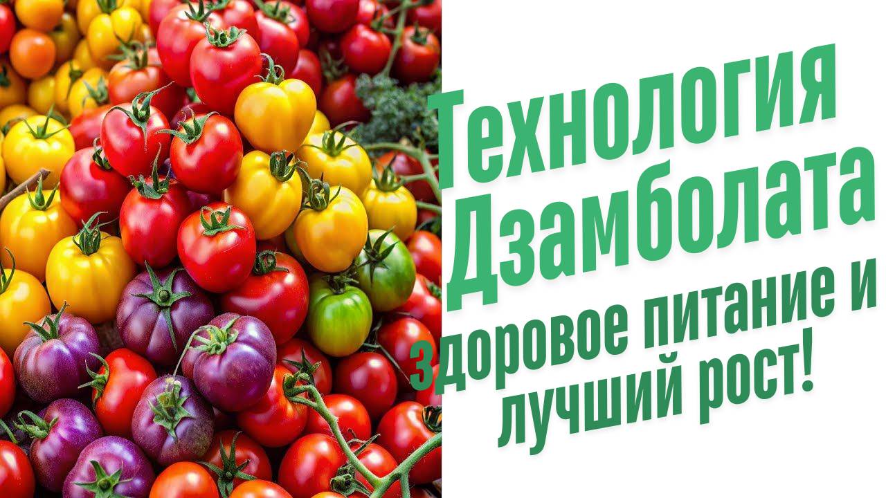 Органические удобрения для растений.