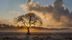 Стихотворение Роберта Рождественского — Человеку надо мало