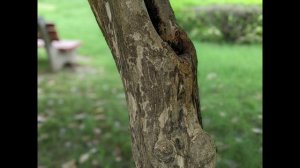 google pixel 6a camera test | Google pixel 6a | google pixel 6 | pixel 6a camera test