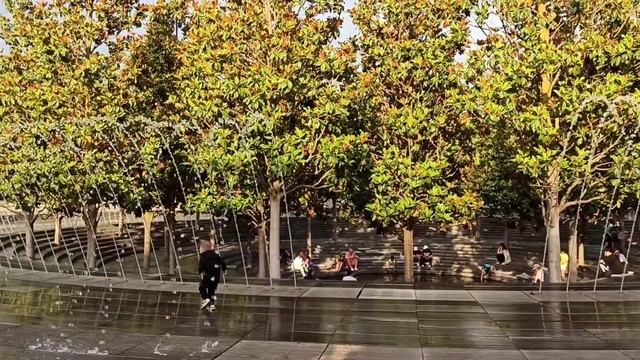 Парк Галицкого после дождя 😍 | Самый лучший парк в России | Стадион Краснодар #паркгалицкого #лето смотреть онлайн