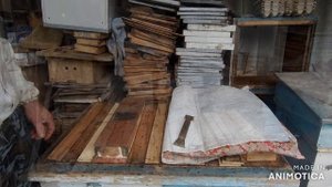 Осенняя ревизия пчёл