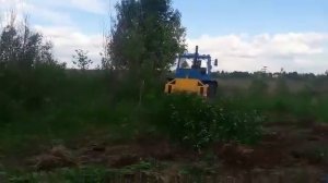 Очистка заросших полей от деревьев и кустарников