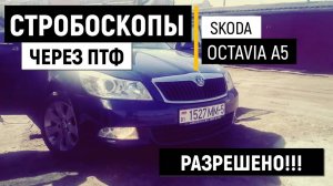 № 9 Стробоскопы через ПТФ в Skoda Octavia A5