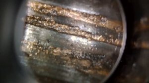 карабин Тигр. 25лет, более 3000 выстелов, всегда думал, что я чистил своё оружие.