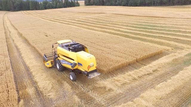 Harvest 2018 | 2x New Holland TC4.90 | Fendt 516 | Fendt 312 смотреть онлайн