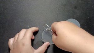 Гайд как легко поймать матку муравьев Lasius Niger | Муравьи Lasius Niger