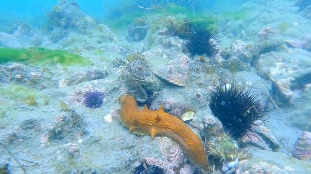 Diego Garcia: The Strategic U.S Military Base In Indian Ocean | TIT TV смотреть онлайн