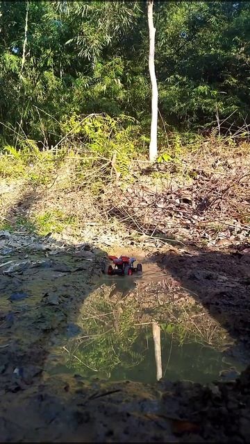 Rc monster truck drive on water😱😱😱 #shorts #sorts #truck #remote #car