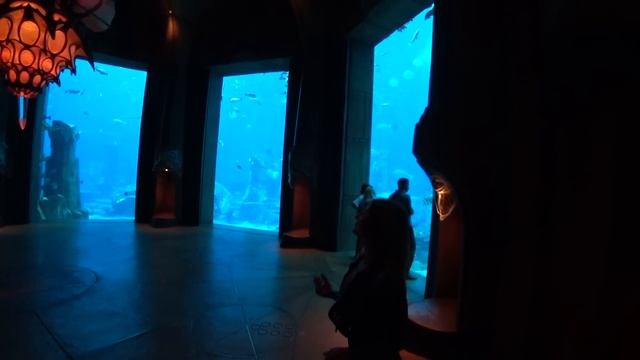 Самый Дорогой отель в Дубае Atlantis The Royal. Мы в Шоке! Цены и Еда в ресторане
