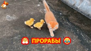 Прорабы изучают объем облицовки ❣️🤗😍