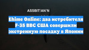 Ehime Online: два истребителя F-35 ВВС США совершили экстренную посадку в Японии