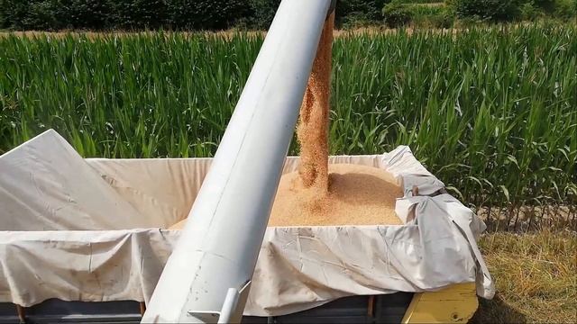 żniwa 2019 claas mega 204 małopolska nr 2 смотреть онлайн