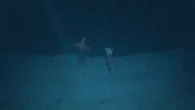 Хранитель луны