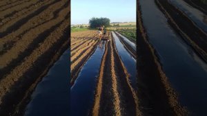 пленкоукладчик своими руками. Дешево и сердито.