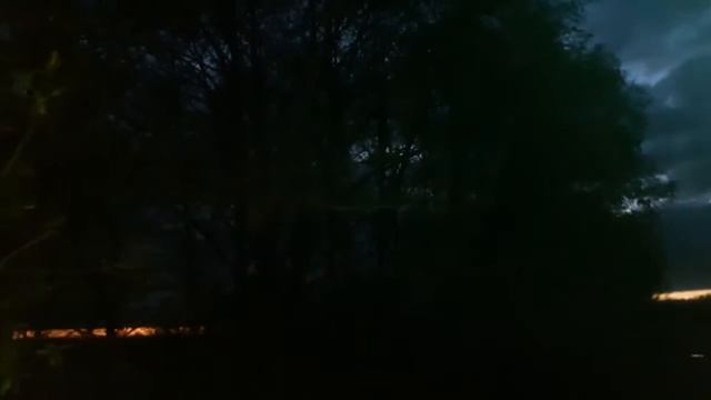 МАЙСКИЕ ТРЕЛИ СОЛОВЬЯ В ДЕРЕВНЕ ВЕЧЕРОМ. 3 ч. РОМАНТИКА! / MAY'S NIGHTINGALES SONGS. Part 3 смотреть онлайн