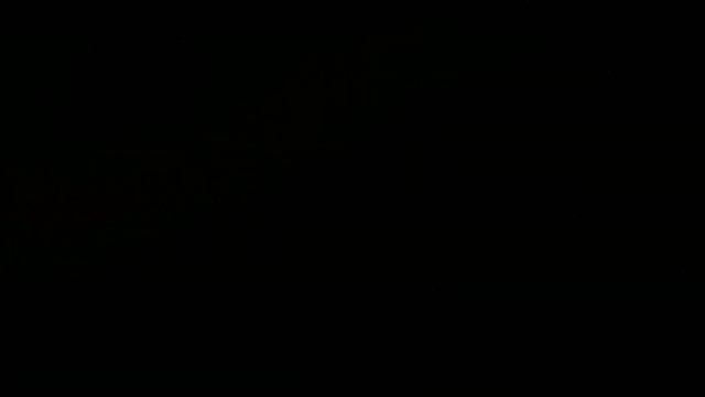 В Долгопрудненском историко-художественном музее 24 августа 2017 год смотреть онлайн